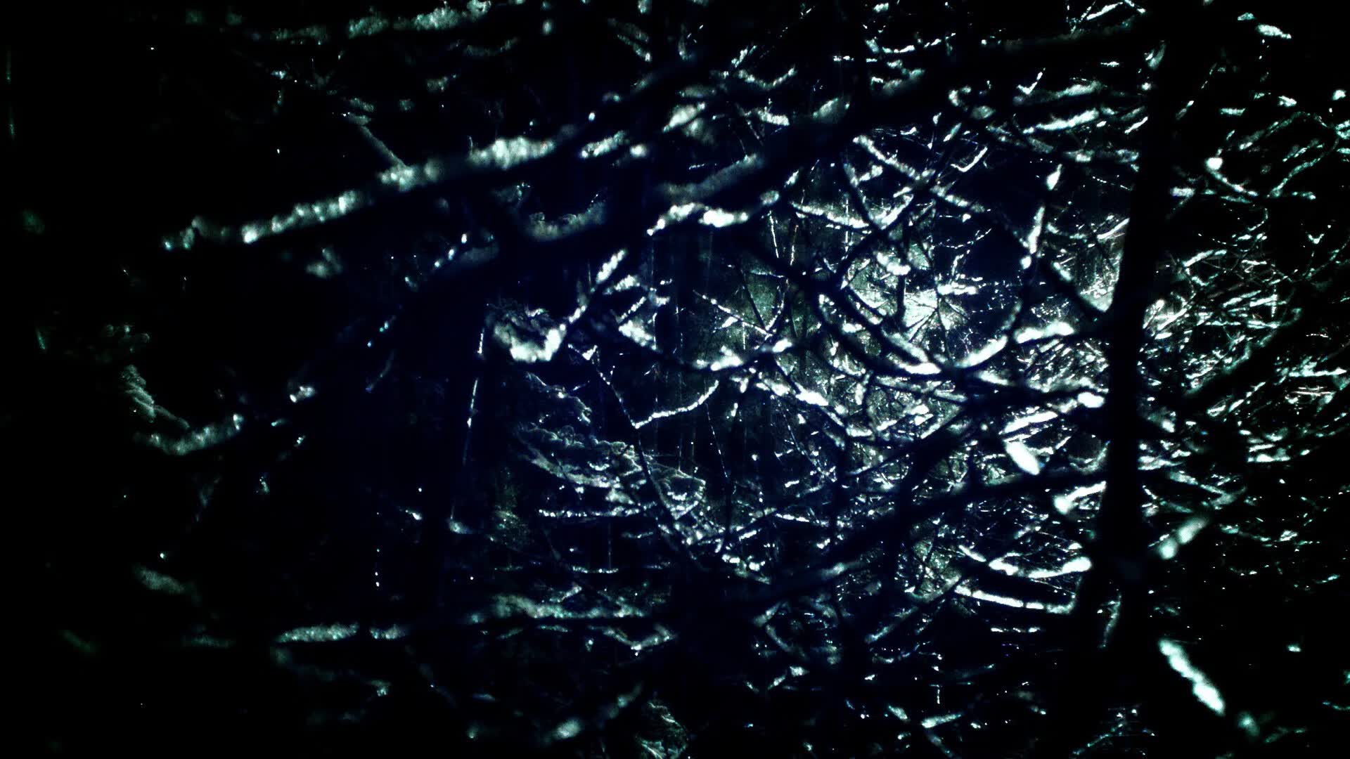世界举重青训营康复课程导师名单与资质说明,世界举重冠军